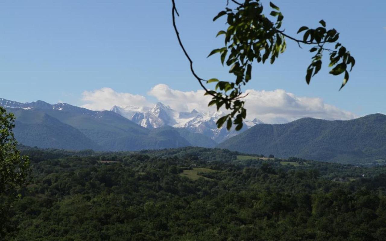 Bed and Breakfast La Ferme Dague Lasseube Экстерьер фото